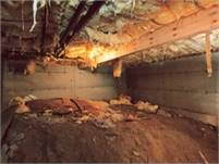 Palm Harbor Crawl Space Repair Dante  Greeves